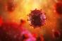 VIH : voici comment le virus se lie aux cellules censées les combattre