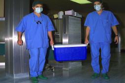 Une avancée majeure pour réduire les rejets de greffe