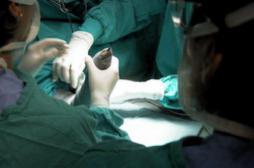 Le rein est l'organe le plus greffé en France