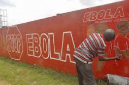 Ebola : l’OMS passe à côté de 60 % des cas