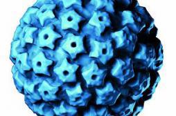 Cancer du col de l’utérus : le test HPV plus efficace que le frottis