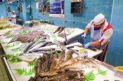 Filets de poissons : non-conformité dans 20 % des cas