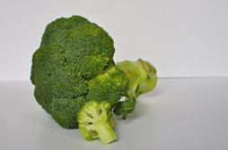 Le brocoli améliore l’efficacité d’un traitement contre le cancer
