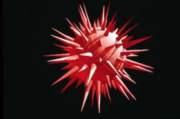 Sida : des chercheurs extirpent le VIH de ses refuges