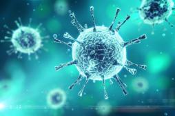 Sida : découverte d'anticorps capables de repérer les réservoirs