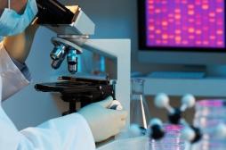 Quotient intellectuel : 52 gènes associés ont été identifiés