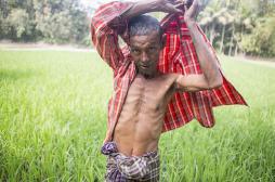 Bangladesh :  20 millions de personnes boivent de l’eau contaminée à l'arsenic