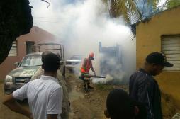 Dengue : 184 cas recensés à la Réunion