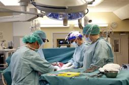 Greffe d’utérus : les premières transplantations sont un succès