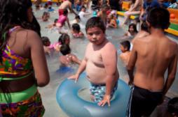 Un test sanguin pour évaluer les risques d'obésité à l'âge de 5 ans