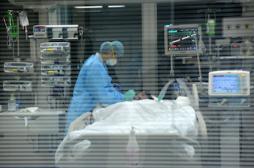 La grippe H7N9 tue un patient sur trois 