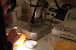 Cancers héréditaires : 37 000 personnes à risque identifiées