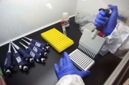 Chikungunya : un vaccin donne des résultats encourageants 