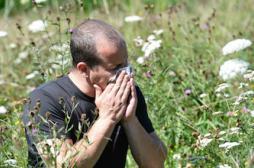 Allergies: les nouveaux traitements améliorent  l’observance 