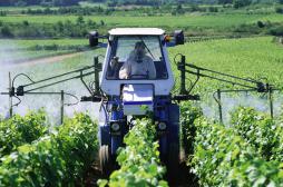 Agriculteurs : les types de cancers varient en fonction des cultures