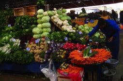 Adopter un régime végétalien expose à des carences nutritionnelles 