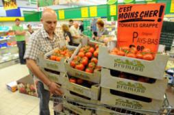 Obésité : l’excès d’aliments à bas prix responsable de l’épidémie