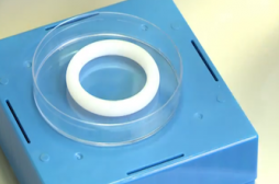 Un anneau vaginal, futur arme anti-VIH et herpès ?