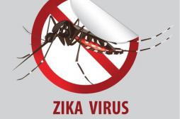Zika : la ministre des Outre-mer appelle à la mobilisation 