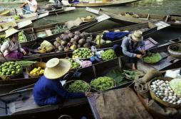 La maladie d'Asie : mystérieuse mais pas contagieuse