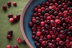 La cranberry favorise l’équilibre du microbiote intestinal