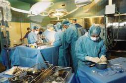 Greffe de rein : jusqu'à 4 ans d’attente avant une transplantation