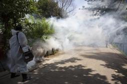 Dengue : six nouveaux cas autochtones à la Réunion 