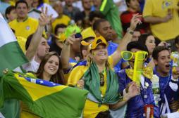 La dengue menace la coupe du Monde au Brésil