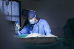 Excision : quand la chirurgie répare les femmes mutilées