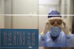 H7N9 : des scientifiques vont créer des virus mutants adaptés à l’Homme     