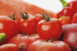 Cancer de la prostate : les tomates réduiraient le risque de 20 %