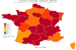La grippe prend des vacances