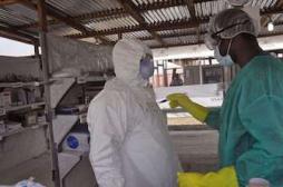 Ebola : un premier test rapide approuvé par l’OMS