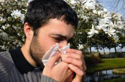 Allergies : la moitié de la planète concernée dans 15 ans