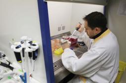 Des médicaments à l'essai en prévention du cancer du sein