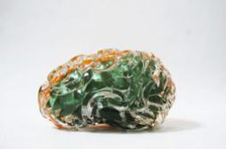 Le niveau social influe sur la structure du cerveau de l'enfant