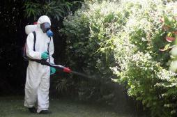 17 cas de dengue : plan Orsec à La Réunion