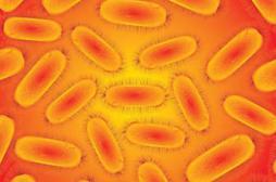 Etats-Unis : une super-bactérie contamine 200 personnes