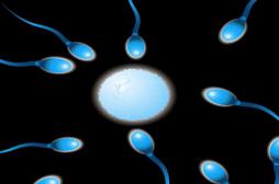 16 bonnes raisons de faire l'amour en 2016