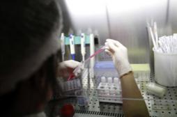 Une naissance inespérée grâce à un « collage embryonnaire » 