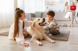 Maladie de Crohn : un chien dans la famille protège-t-il vraiment les jeunes enfants ?