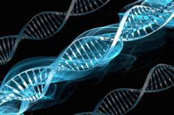 Cancers d'origine génétique : les Français veulent en savoir plus