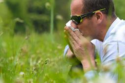 Comment notre flore intestinale fait barrage aux allergies