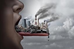 Dégradation de l'environnement et santé : 3 Français sur 4 sont inquiets