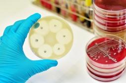 Teixobactine : un pas de plus vers le développement du super antibiotique