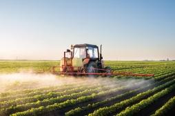 Cancer, Parkinson, BPCO... Le lien entre pesticides et six maladies graves se confirme