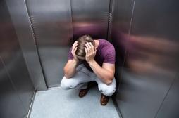 Pourquoi certaines phobies apparaissent-elles à  l'âge adulte ?