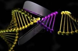 Ciseaux génétiques : la Chine devance les Etats-Unis