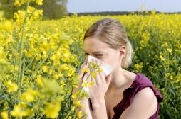 Comment le calendrier des pollens aide à la prévention