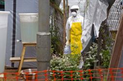 Ebola : la France va tester une molécule antivirale en Guinée